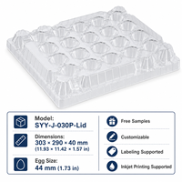 Boîte et plateau à œufs en plastique PET de qualité alimentaire, écologiques, antichoc, avec couvercle transparent, pour fermes et supermarchés, approvisionnement OEM, lot de 30