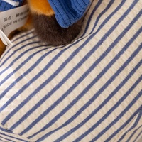 Peluche renard couché mignon - Compagnon super doux et câlin de la taille d'une paume - Jouets en peluche personnalisés