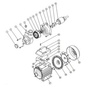 Pompe à eau périphérique série SUOU MOP pour surpression d'eau domestique, irrigation de jardin et systèmes automatiques - Product Image 4