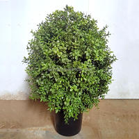 Arbre artificiel en forme de melon, buis, faux pin, cyprès en pot pour la décoration de la maison, du jardin et des mariages