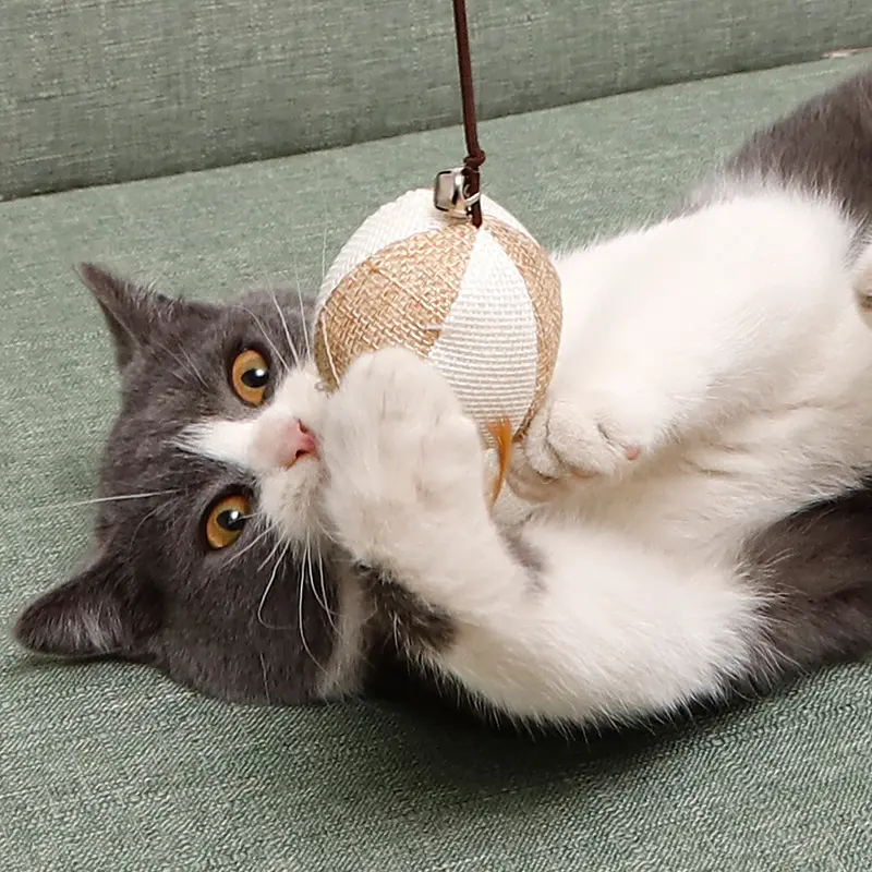 Kedi alay sopa keten tüy çan kedi alay oyuncak katı ahşap ahşap kutup pet atma oyuncak
