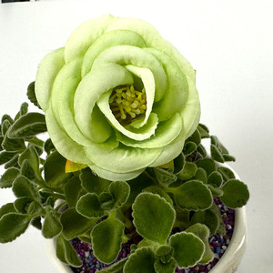 Cabeza de Rosa de Seda de 5 cm de Alto, Simulación Realista, Reutilizable, Decoración para Bodas y Hogar - Product Image 3