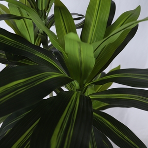 Brasil Lucky Tub Plant Artificial Four Seasons Green Plastic Plant Desktop Brazilwood Tree Forest Dracaena <span class=keywords><strong>Bonsai</strong></span> Plante - Product Image 3