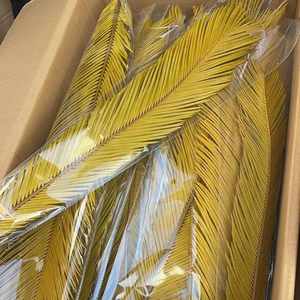 <span class=keywords><strong>Cycas</strong></span> <span class=keywords><strong>Revoluta</strong></span> สำหรับจัดงานแต่งงานดอกไม้ที่เก็บรักษาไว้ตามธรรมชาติ - Product Image 6