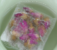 Sachets de thé pliables en fibre de maïs, filtres jetables