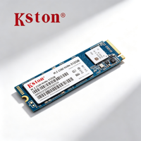 Kston 1TB M.2 2280 NVMe SSD PCIe 3.0 Internal Solid State Drive untuk Peningkatan Laptop