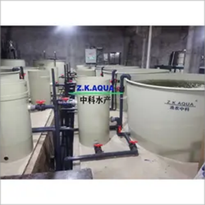 Système d'aquaculture <span class=keywords><strong>de</strong></span> pêche Ras équipement <span class=keywords><strong>de</strong></span> pisciculture <span class=keywords><strong>en</strong></span> vente - Product Image 4