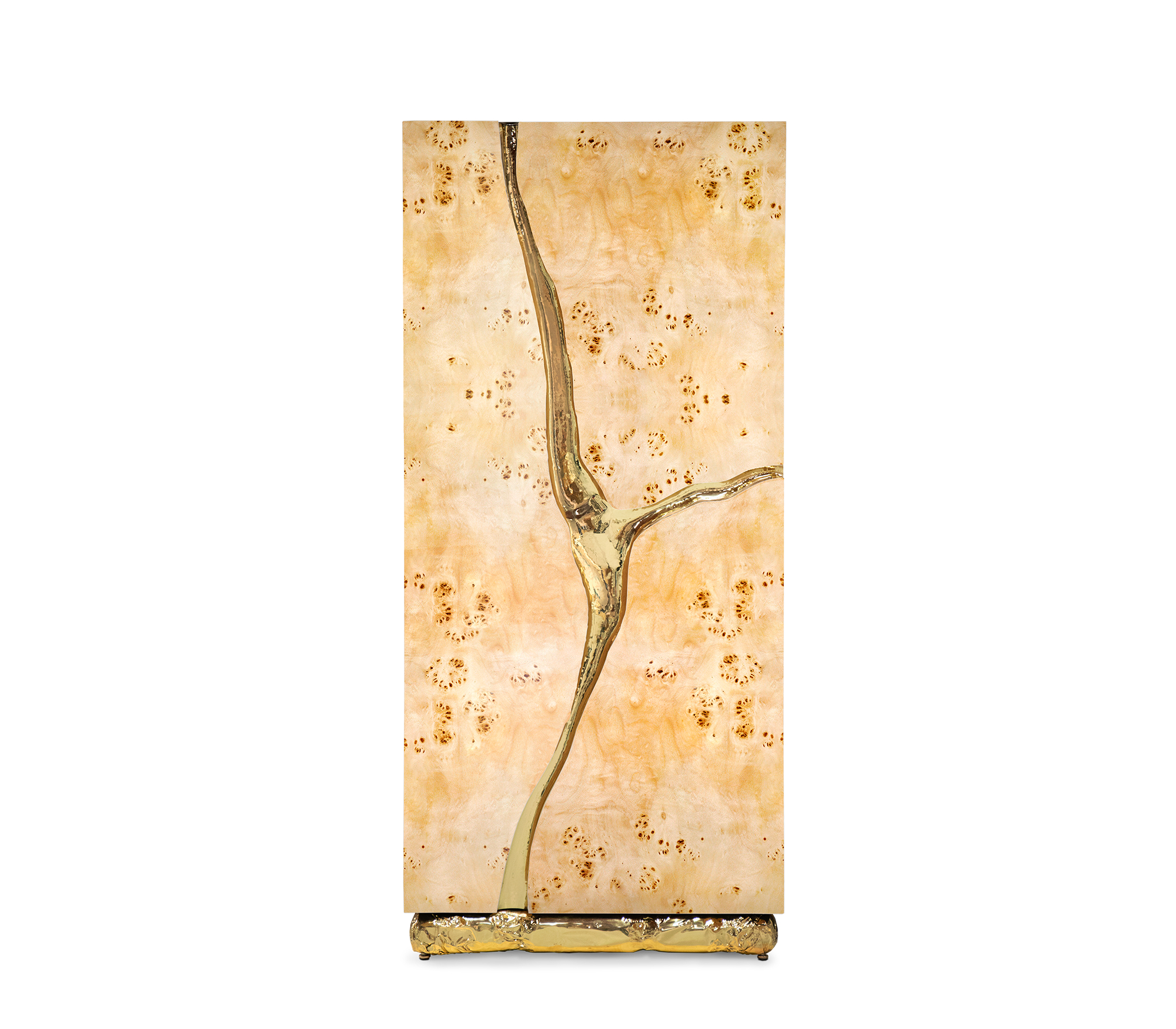 รากป็อปลาร์