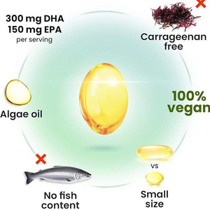 OEM/ODM Omega-3 Vegano para Apoyar la Concentración Cerebral, Alta en EPA y DHA, Aceite de Algas a Base de Plantas en Cápsulas Blandas - Product Image 3