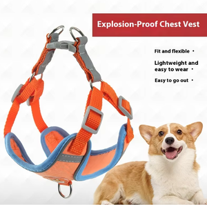 Arnés para perros personalizable respetuoso con el medio ambiente, resistente al agua, a prueba de mordeduras, correa para mascotas - Product Image 1