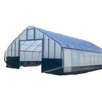 Nouvelle Arrivée Serres Professionnelles Tunnel Légumes Serre Kit Verte Maison Cadre En Métal Conception Stable Serre