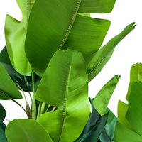 Petit bananier en pot en plastique avec feuilles réalistes en fil de fer, design écologique, léger, résistant aux UV, durable, hauteur 250 cm