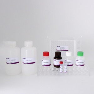 Kit de l'anticorps ELISA de <span class=keywords><strong>REV</strong></span> (96T) | CE certifié | Test de sérum aviaire | Commande en gros disponible - Product Image 4