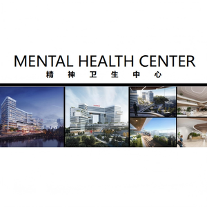 โรงพยาบาลศูนย์สุขภาพจิต บริการออกแบบ ติดตั้งวัสดุ และเตรียมวัสดุก่อสร้าง  โซลูชั่นก่อสร้างแบบครบวงจร ภาษาจีน - Product Image 3