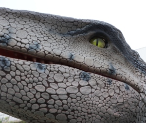 ชุดไดโนเสาร์เวโลซีแรปเตอร์สีน้ำเงินแบบสมจริง ปี 2026 สำหรับผู้ใหญ่  ออกแบบตามสั่ง คุณภาพระดับมืออาชีพ สีสันสดใส เหมาะสำหรับสวนสนุก - Product Image 6