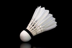Los más vendidos en todo el <span class=keywords><strong>mundo</strong></span> Ventas directas de Origin Badminton Shuttlecock Shuttles Ball Goose Duck Feather LINGMEI-PRACTICE - Product Image 2