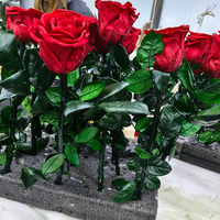 Rose éternelle à longue tige, fleur préservée pour Noël, la remise des diplômes, la Saint-Valentin et la fête des Mères