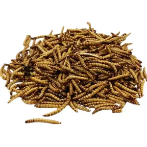 Chicken Feed Yellow Dry Dried Tenebrio Molitor Mealworm Feed For Animal Feed
