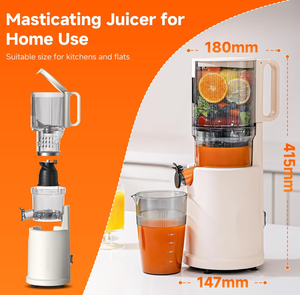 Exprimidor Lento Moderno de Boca Ancha con Cuchillas de Acero Inoxidable para Frutas y Verduras, Uso Doméstico y Hotelero, Bajo Consumo Eléctrico - Product Image 2