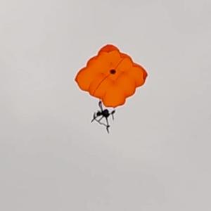 Système de parachute de sécurité pour drones, ouverture automatique et démonstration de la descente en cas d'accident, pièces d'accessoires de drone pour <span class=keywords><strong>DJI</strong></span> <span class=keywords><strong>M30</strong></span> - Product Image 3