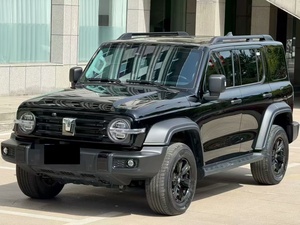 2024年坦克5座版中国品牌全新超快速SUV汽油车长城GWM坦克越野驾驶300出售 - Product Image 4