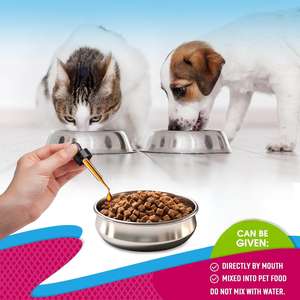 Suplemento Nutricional para el Cuidado Renal de Perros y Gatos | Con arándanos, inulina, semilla de plátano, <span class=keywords><strong>regaliz</strong></span>, vitamina C y polvo de semilla de calabaza - Product Image 4