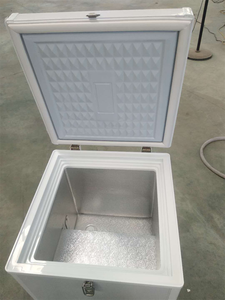 <span class=keywords><strong>Mini</strong></span>-réfrigérateur 48V pour <span class=keywords><strong>moto</strong></span> avec boîte de livraison, réfrigérateur mobile - Product Image 2