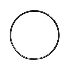 BSE-P200 Kunststoff Dicht <span class=keywords><strong>ring</strong></span> Flansch O <span class=keywords><strong>Ring</strong></span> Hochwertiges Kunststoff produkt - Product Image 1