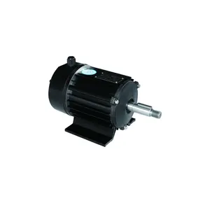 프레임 크기 100L EC 모터 영구 자석 전기 모터 1.5KW 530RPM 220V