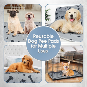 كلب قط قابل للغسل فائق الامتصاص ، جرو قابل لإعادة الاستخدام للتدريب على النونية ، حصيرة حفاضات للحيوانات الأليفة صحية ومقاومة للتسرب - Product Image 5