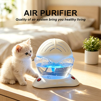 Diffuseur d'huiles essentielles à lumière LED électrique en gros, soins à domicile, revitalisant d'air et d'eau avec ioniseur
