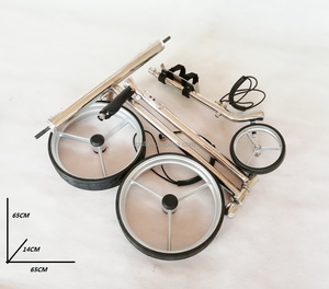 Carrito de Golf Eléctrico Económico, Estructura de Acero Inoxidable, Entrega Rápida, Potente, Autonomía de 20 km - Product Image 4