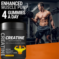 Gummies de Créatine Monohydrate BCAA L-Citrulline Bêta-Alanine Complément Alimentaire Adulte Usine OEM Gestion de l'Énergie