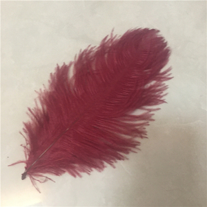 Prezzo all'ingrosso 15-70cm piume di struzzo soffici naturali - Product Image 1