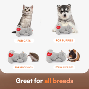 AFP Heartbeat <span class=keywords><strong>Cat</strong></span> Juguete Calmante Peluche Heart Beat Alivio del Estrés Calmante y Ayuda para Dormir Juguete Comodidad Mascota Perro Gato Juguete de Peluche - Product Image 4