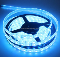 Tira de luz Rgb que cambia de Color DC12v 24V SMD 5050, tira de luz LED impermeable de Ambiente de 10mm, tira de luz de fondo