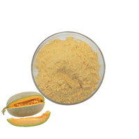 Poudre de jus de melon Hami en gros, poudre de fruit de cantaloup, poudre de melon à 99%