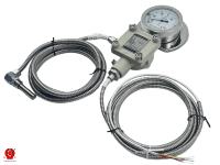 Explosion-Proof Temperature Gauge with Flameproof Junction Box for Coal Mine Conveyor Pump Water Tank