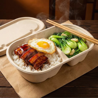 Offre Spéciale – Boîte à lunch ovale à 2 compartiments en bagasse de canne à sucre, écologique, jetable, avec couvercle, 800 ml, récipient alimentaire divisé pour plats à emporter