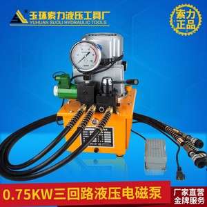 Bomba Hidráulica Eléctrica DBD750-DS3 0.75KW de Hierro Fundido de Alta Potencia para Herramientas Hidráulicas - Product Image 2