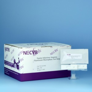 EIAV-Antikörper-Teststreifen für fluor zierende Mikros phären (Infektions anämie bei Pferden) | Schnelle stabile Erkennung - Product Image 3