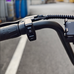 Scooter Elettrico Economico Personalizzabile nel Colore, Produttore da Tre Decenni, Vendita all'Ingrosso - Product Image 4