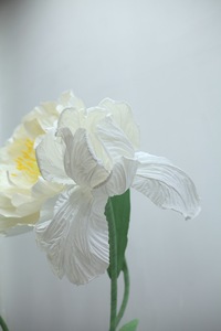 Rétro, Pivoine, Grandes fleurs en papier, Iris, Blanc, Élégant, Noble - Product Image 3