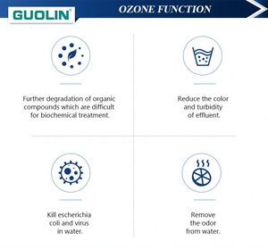 Générateur d'ozone 4 kg, traitement des eaux usées industrielles 5 kg, générateur d'ozone industriel Cf-g-2-4kg - Product Image 6