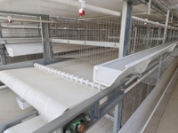 Cages à Poules Pondeuses Automatiques pour Fermes Avicoles – Cage de Type H