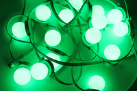 DMX512 Cadena de luces LED para exteriores IP67 Bombilla de luz levitante para decoración de paisaje Cuerpo de PC para parques temáticos