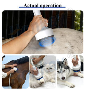 Ondes de choc électromagnétiques focalisées professionnelles pour animaux, pour soulager la douleur et la régénération tissulaire chez les animaux - Product Image 6