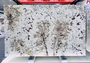 Tianshan <span class=keywords><strong>Twilight</strong></span> Snow <span class=keywords><strong>Granite</strong></span> Polierter Naturstein Große Platte Rückwand für den Innenbereich Moderne Licht übertragung Große Platte - Product Image 4