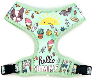 Großhandel Custom Print Haustier halsband Sublimation Personal isierte Neopren Luxus verstellbare weiche Hunde halsbänder und Leine - Product Image 2