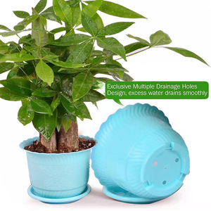 Support de sol épaissi, idéal pour stabiliser l'humeur, soulager le stress et cultiver des succulentes et des tulipes dans un pot en plastique. - Product Image 4